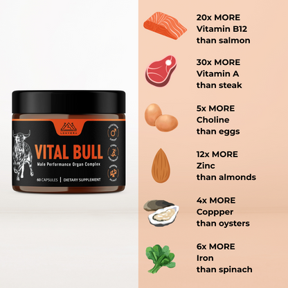 Vital Bull - Male Performance Organ Complex